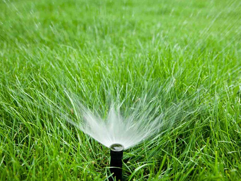 Watering of lawn